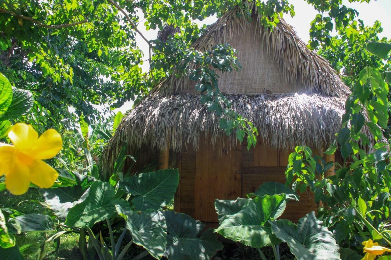 Samana Ecolodge El Limon Exterior foto