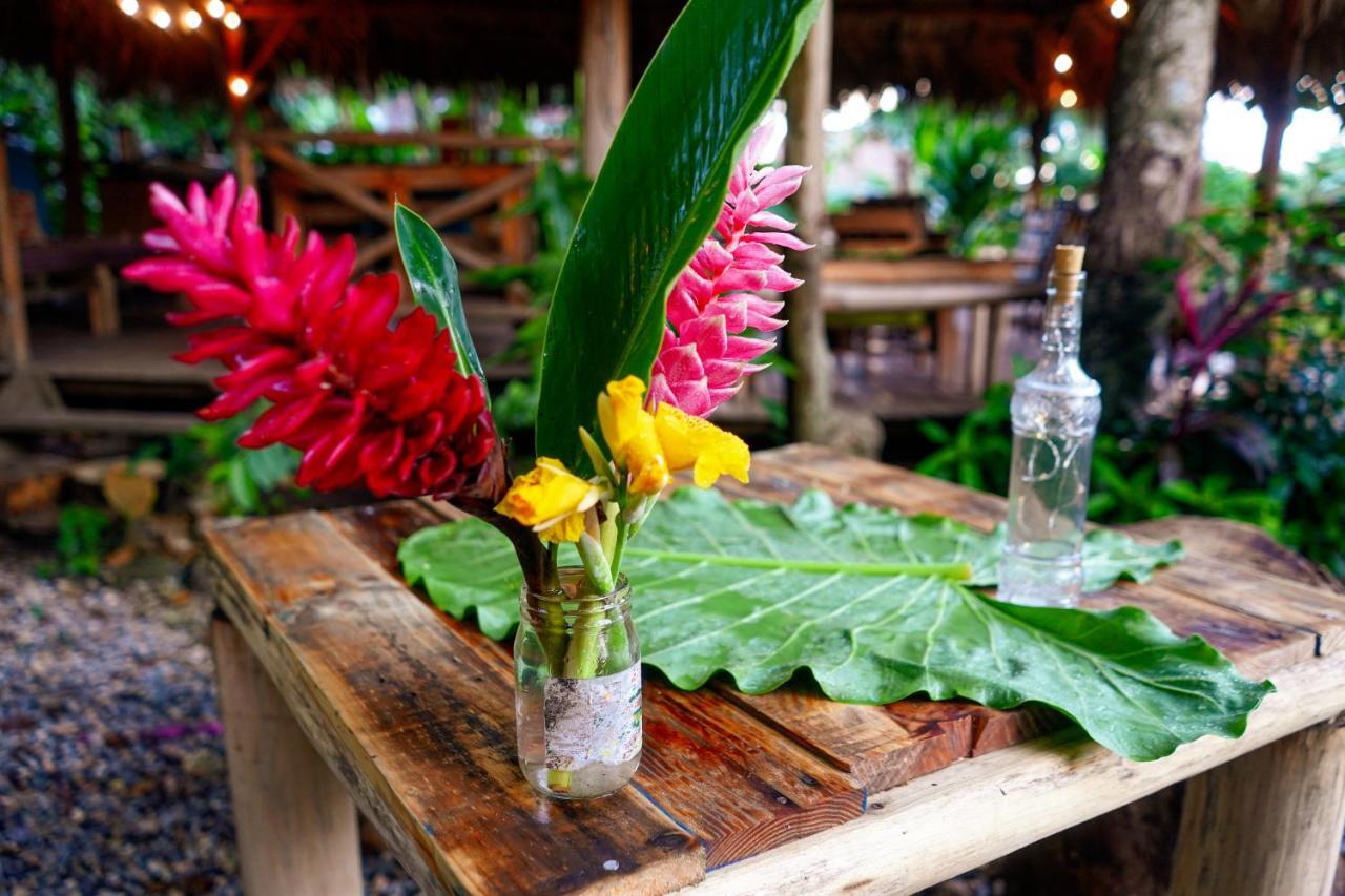 Samana Ecolodge El Limon Exterior foto