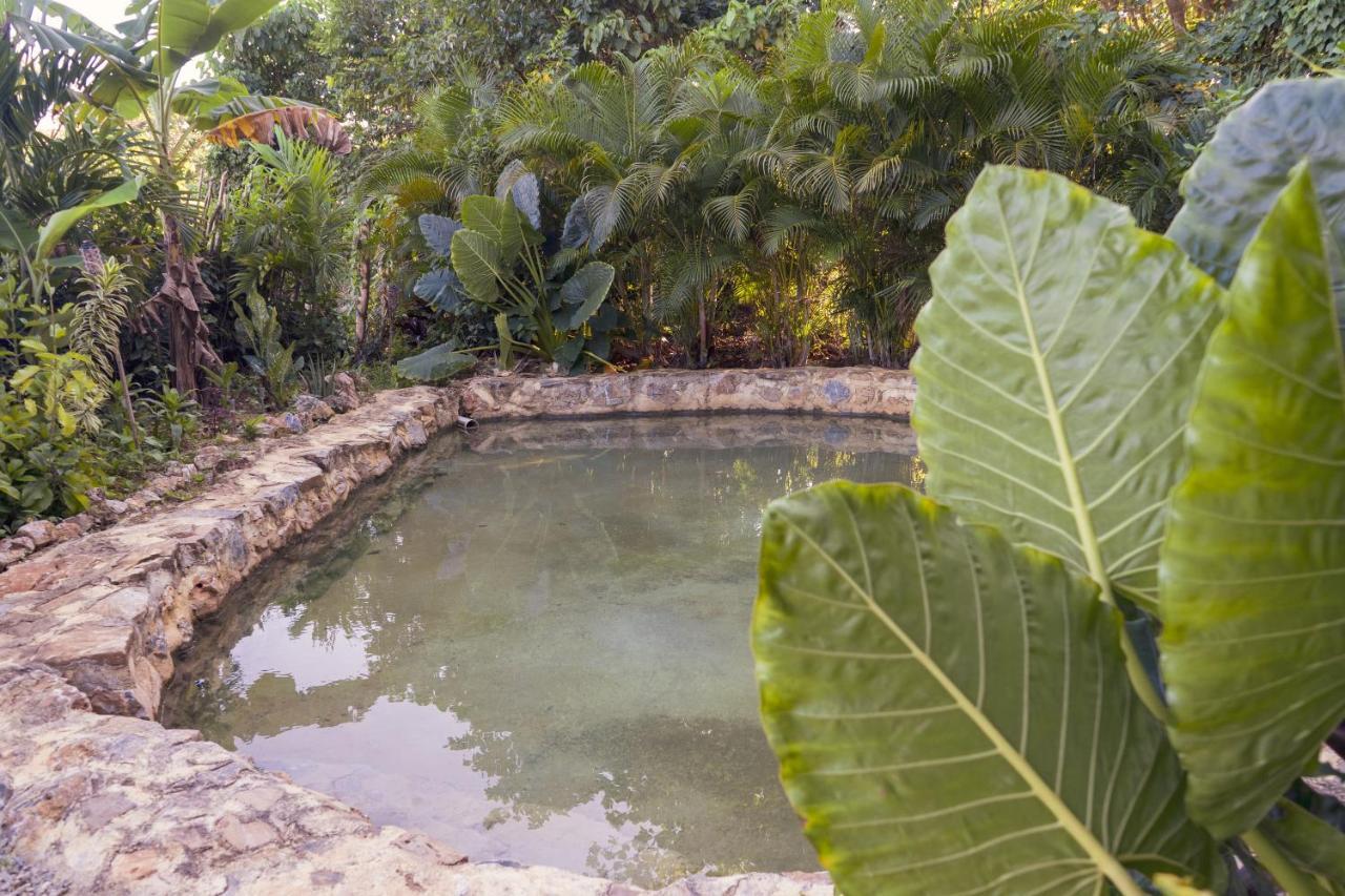 Samana Ecolodge El Limon Exterior foto