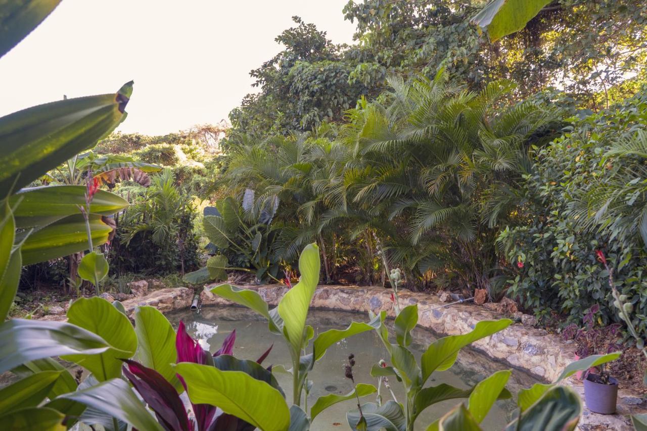 Samana Ecolodge El Limon Exterior foto
